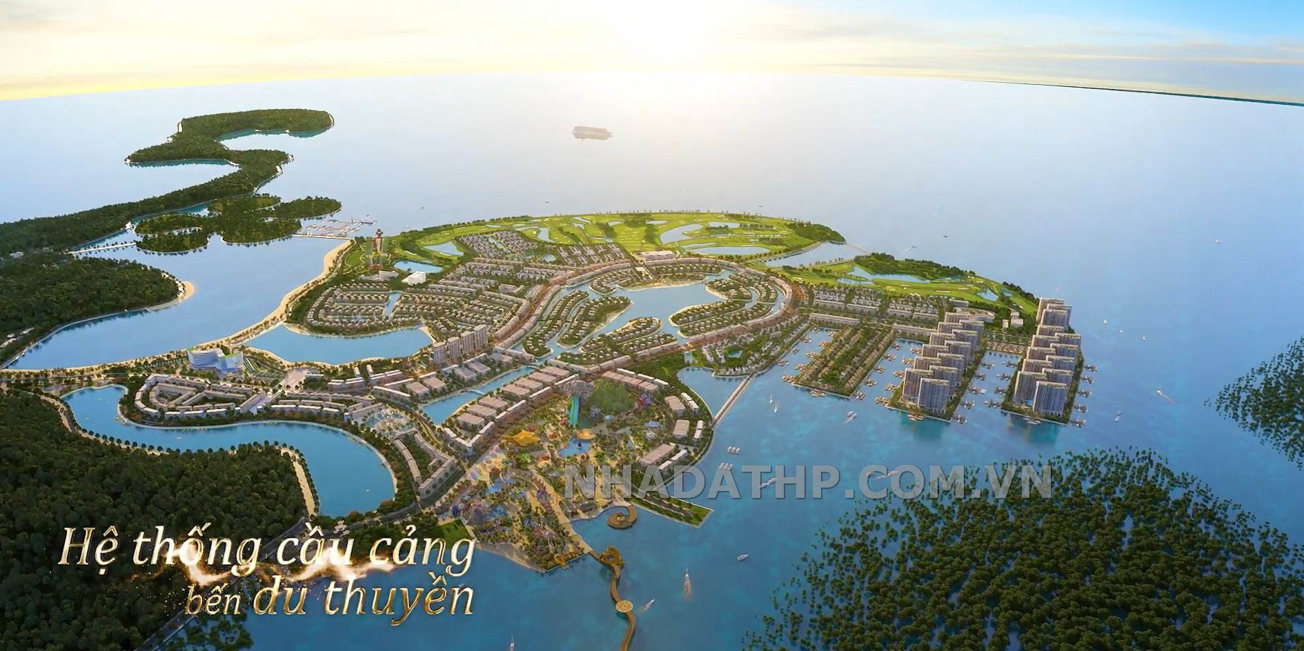 doi rong hai phong 36