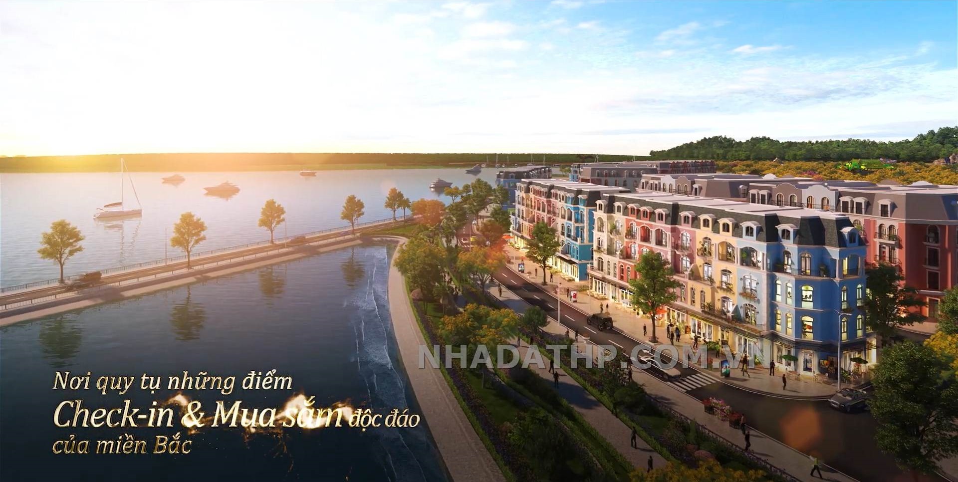 doi rong hai phong 51