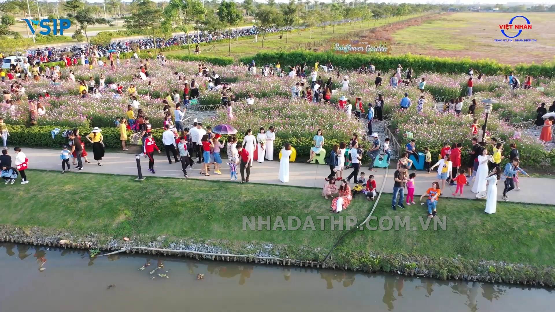 belhomes hai phong 34