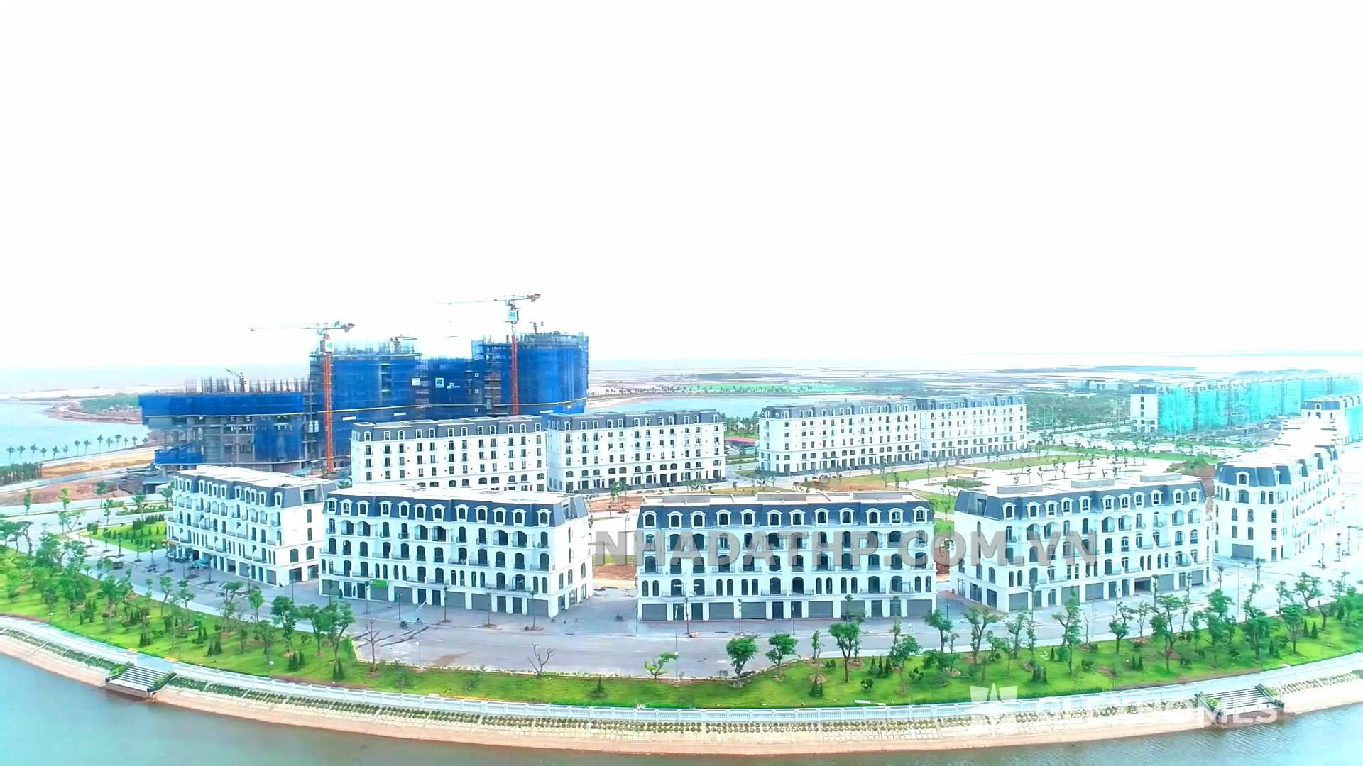 doi rong hai phong 18