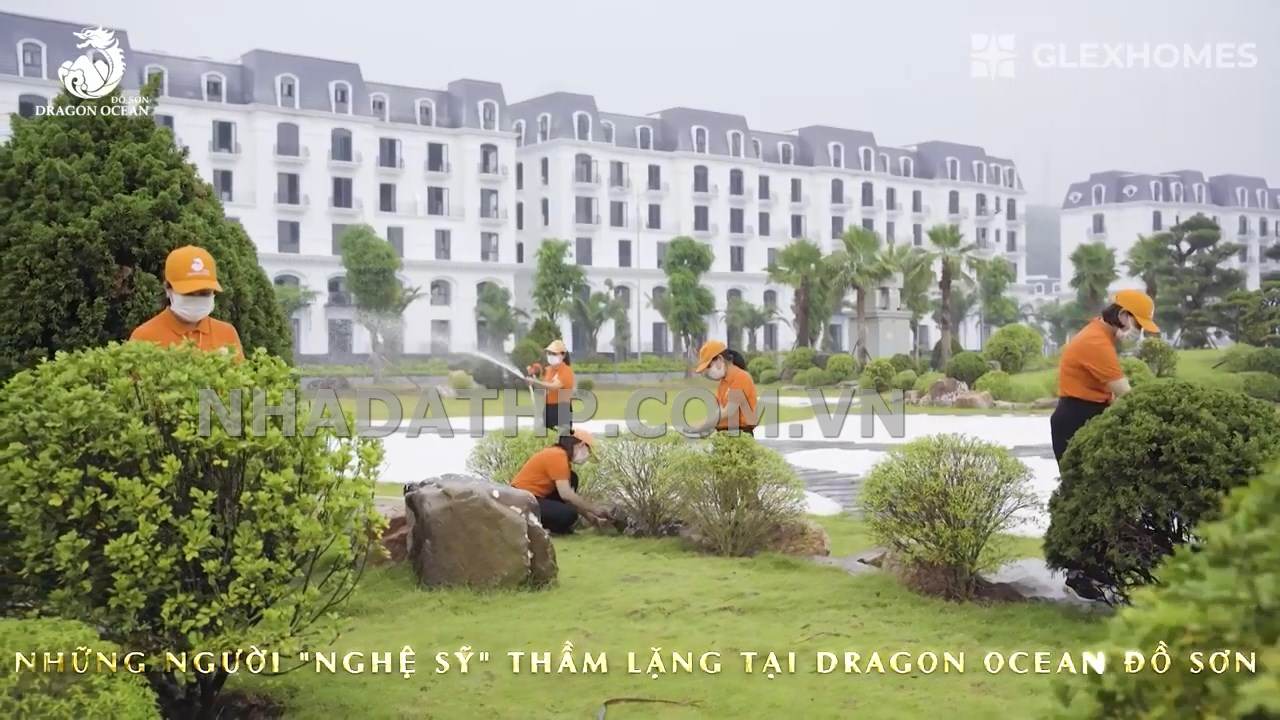 doi rong hai phong 26